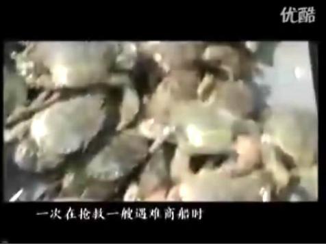 中国民俗大观——妈祖文化 