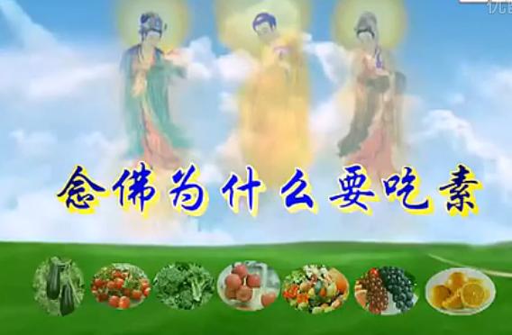 念佛为什么要吃素 